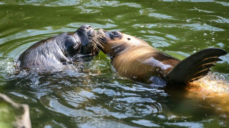 Zlínskou zoo podpořili lidé z celé republiky, dostala se z krize