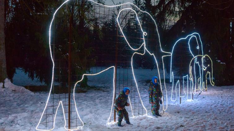 Zlínská zoo láká vánoční atmosférou