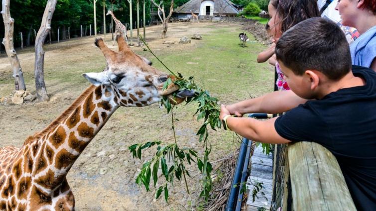 Zlínská zoo rozjíždí projekt na podporu zvířat v ukrajinských zoologických zahradách