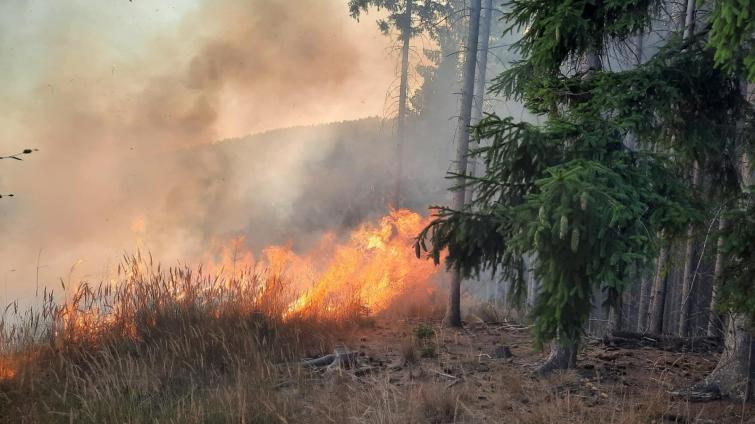 Hasiči od večera bojují s rozsáhlým požárem u Lukovečku. Na místě se vystřídalo už 38 hasičských jednotek