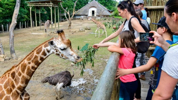 Zlínská zoo slaví nejúspěšnější sezónu v historii. Obyvatele Zlínského kraje proto odmění symbolickým vstupným
