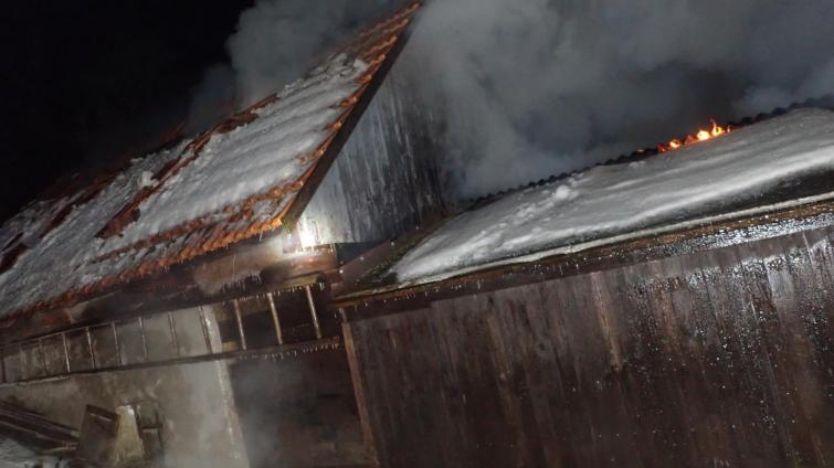 V Březové v noci hořela kůlna. Požár napáchal škody za přibližně 300 tisíc korun