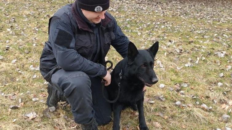 Policejní pes Alby jde do důchodu. Se svým pánem zůstane i nadále