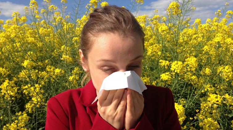 S příchodem jara začínají čekárny ambulancí plnit alergici 