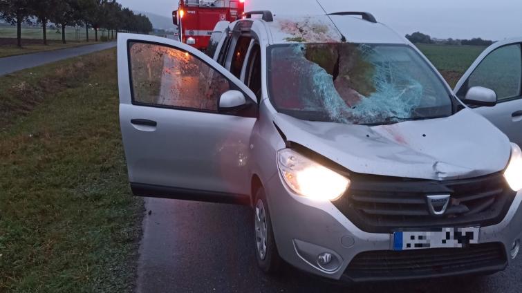 Nepříjemný zážitek skončil pro řidiče osobního vozidla relativně dobře. Srna měla méně štěstí