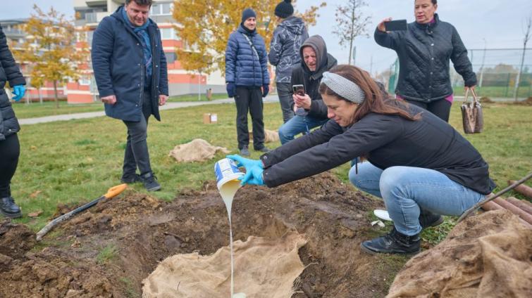 Stromy v Centrálním parku chrání speciální ekologické hydrogely. Vyvinuli je vědci z UTB 