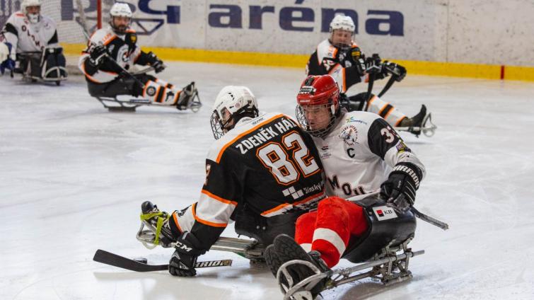 Sledge hokejisty čeká Olomouc. Pomůže stadion, kde i tučňáci chodí v kabátu?