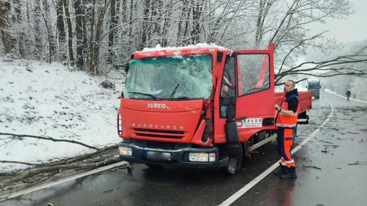 Velká větev probodla kabinu nákladního auta. Řidič jako zázrakem vyvázl jen s oděrkami