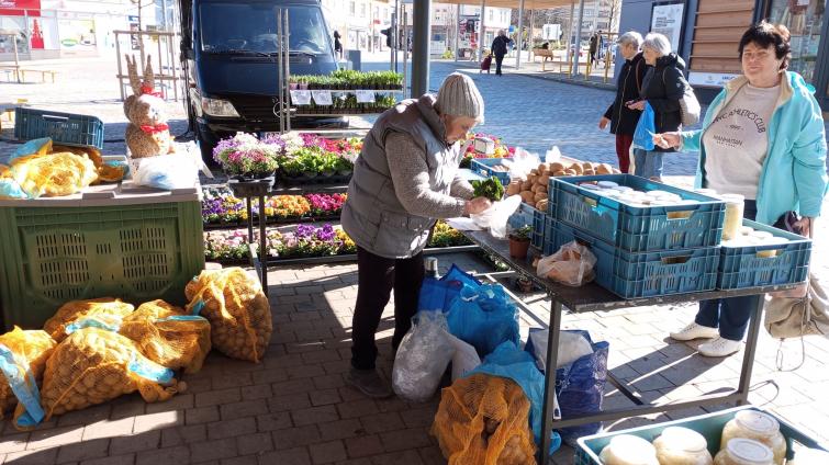 Tržiště Pod Kaštany zahájí v sobotu novou sezonu