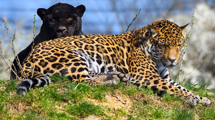 Zlínská zoo o Velikonocích praskala ve švech! Za pět dní přilákala přes 35 000 návštěvníků