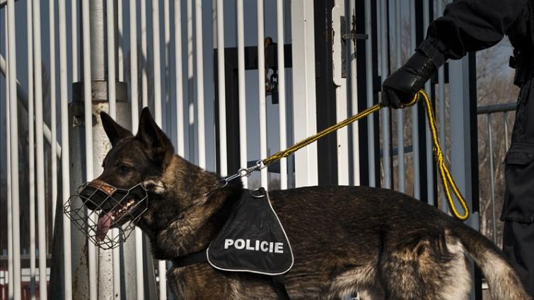 Zloději chtěli ze sklepa bytového domu v centru Zlína ukrást kolo. Vyčenichal je policejní pes