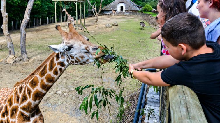 Vstupné do zlínské zoo bude každý pátek v září a říjnu jen za 100 korun