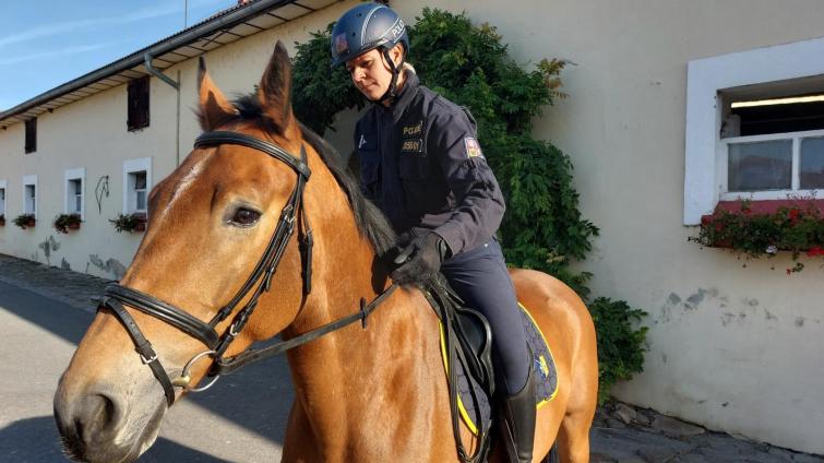 Ke zlínským policistům se brzy připojí nová posila. Říká si C - Storm!