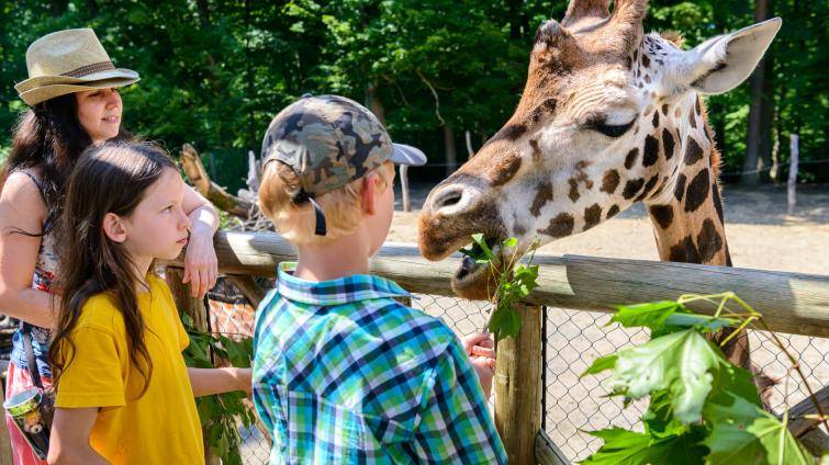 Rok 2024 byl pro zlínskou zoo třetím nejúspěšnějším v historii