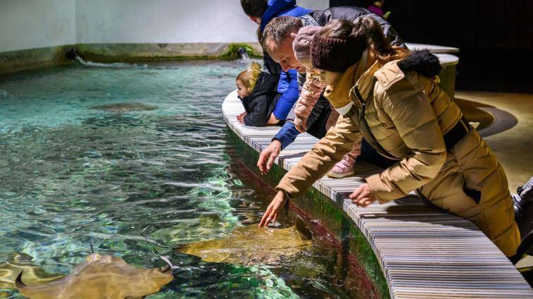 Dárek za pololetní vysvědčení: do zlínské zoo jen za korunu, známky nehrají roli