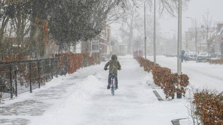 Do Lednové výzvy Do práce na kole se mohou zapojit nejen cyklisté