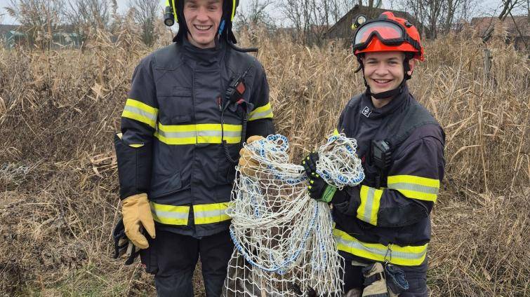 Nejkurióznější zásah roku? Na Štěpána hon na klokana