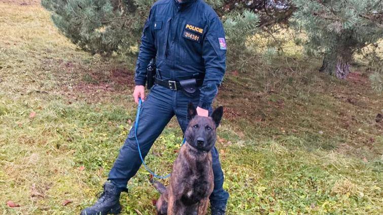 Ztraceného chlapce u Valašských Klobouk našel policejní pes Ludvík. Byl vyděšený a schovával se u potoka