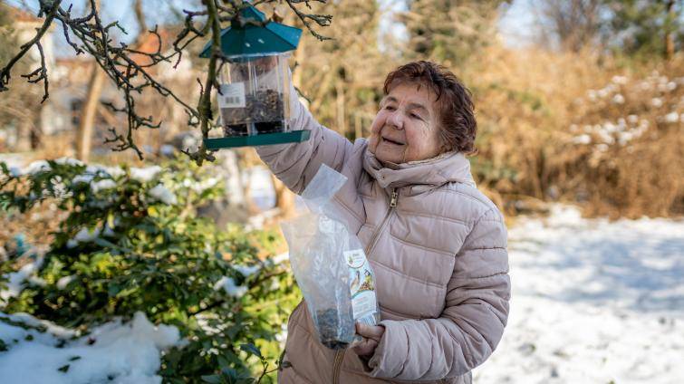 Ptačí hodinka začala! Do monitoringu opeřenců v blízkém okolí se můžete zapojit i vy