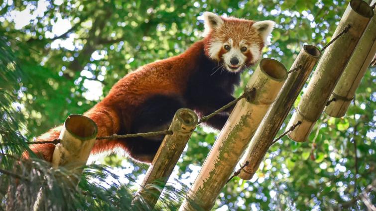 Foto: Archiv Zoo Zlín