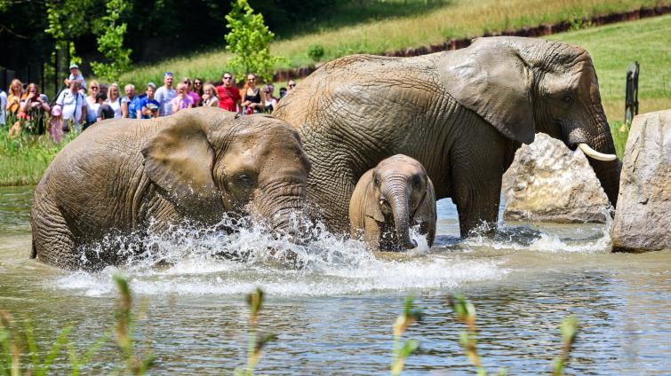 ​​​​​​​Foto: Zoo Zlín