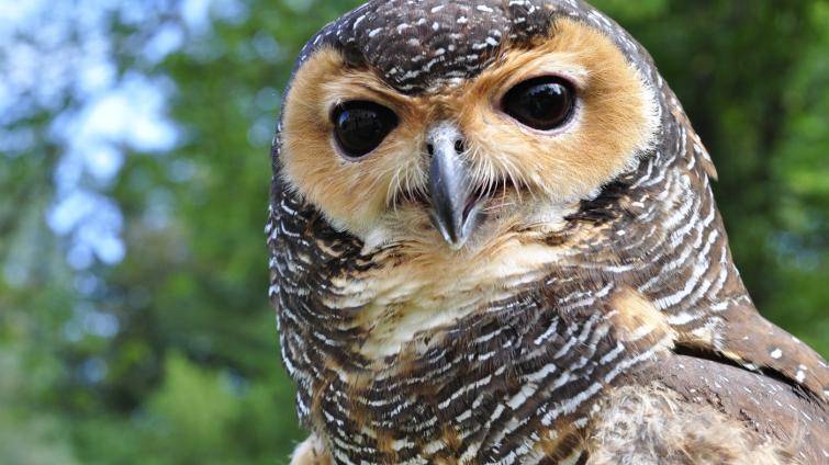 Foto: Zoo Zlín