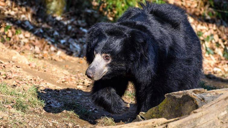 Foto: Zoo Zlín