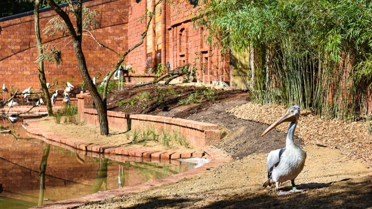 Foto: Archiv Zoo Zlín