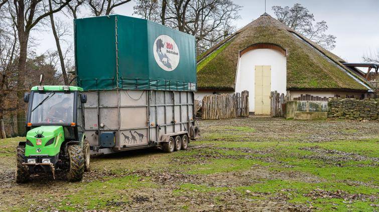 Foto: Zoo Zlín