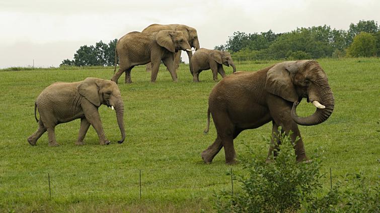  Foto: Archiv Zoo Zlín