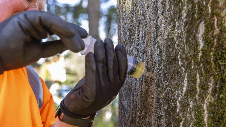 Foto: Zlínský kraj