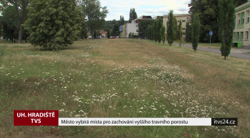 Město vybírá místa pro zachování vyššího travního porostu