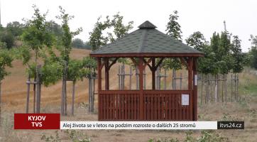 Alej života se rozroste