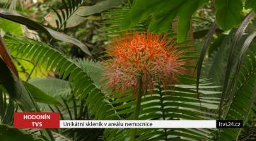 Unikátní skleník v areálu nemocnice 