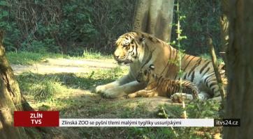 Zoo Zlín hlásí nové přírůstky 