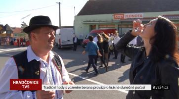 Tradiční hody s vozením berana provázelo krásné počasí