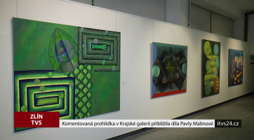 Komentovaná prohlídka v Krajské galerii přiblížila díla Pavly Malinové