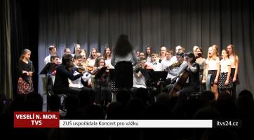 ZUŠ uspořádala Koncert pro vážku