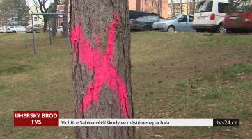 Vichřice Sabina ve městě větší škody nenapáchala