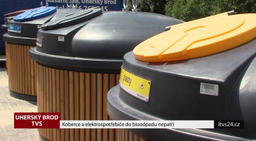 Koberce a elektrospotřebiče do bioodpadu nepatří