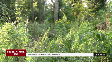 Pokračuje revitalizace bažantnice