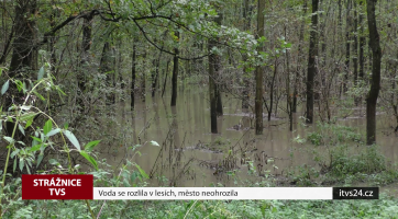 Voda se rozlila v lesích, město neohrozila