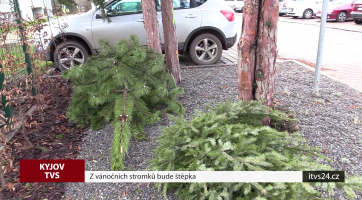 Z vánočních stromků bude štěpka