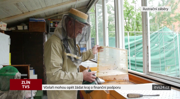 Včelaři mohou opět žádat kraj o finanční podporu