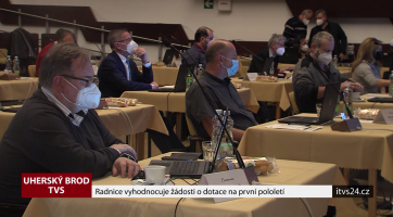 Radnice vyhodnocuje žádosti o dotace na první pololetí