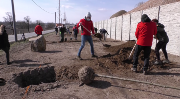 Vjezd do Hodonína zdobí 22 dubů červených