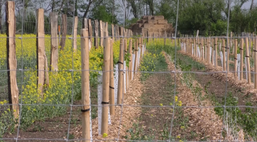 Biokoridor má zadržet vodu v krajině