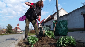 Ulice pokvetou všemi barvami