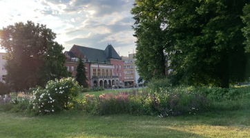 Město investuje stále více peněz do květinové výzdoby