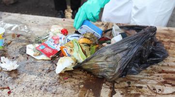 Analýza odpadků ukázala, že Rožnované neumí třídit